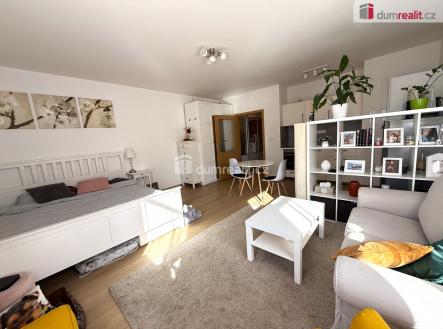 Pronájem bytu, 1+kk, 38 m²