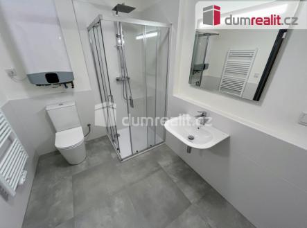 Pronájem bytu, 1+kk, 44 m²