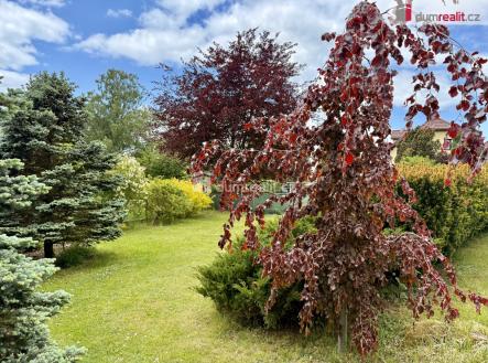 Prodej domu/vily, 390 m²