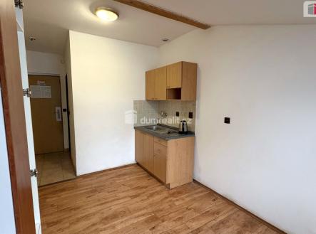 Pronájem bytu, 1+kk, 18 m²