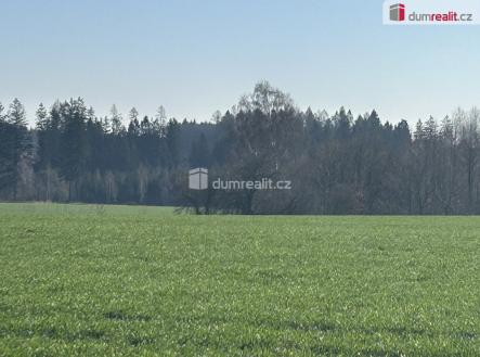 Prodej - pozemek, les, 38 487 m²