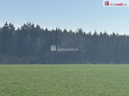 Prodej - pozemek, les, 38 487 m²