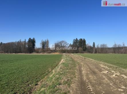 Prodej - pozemek, les, 38 487 m²