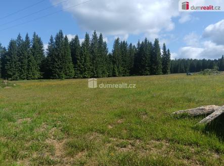 Prodej - pozemek pro bydlení, 3 720 m²