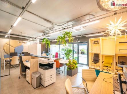 Pronájem - jiné, 192 m²