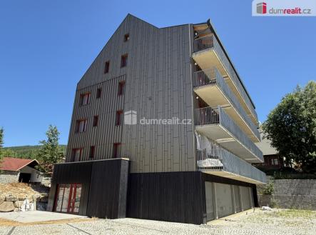 Pronájem bytu, 1+1, 43 m²