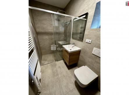 Pronájem bytu, 2+kk, 55 m²