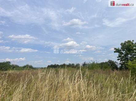 Prodej - pozemek pro bydlení, 2 595 m²