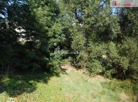 Prodej - pozemek pro bydlení, 2 900 m²