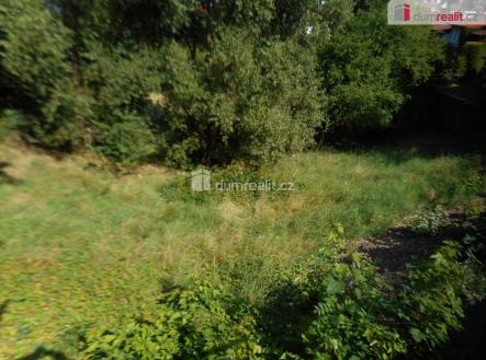 Prodej - pozemek pro bydlení, 2 900 m²