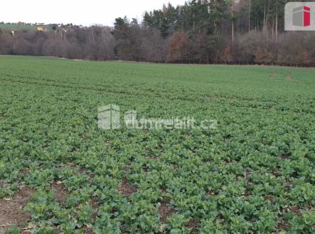 Prodej pozemku, zemědělská půda, 3 516 m²