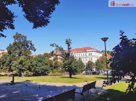 Pronájem kanceláře, 18 m²