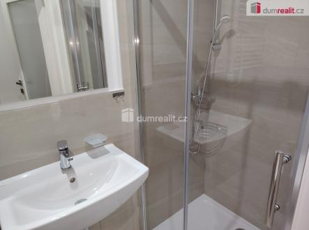 Pronájem bytu, 1+kk, 21 m²