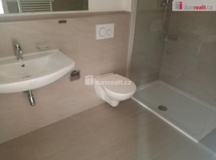 Pronájem bytu, 3+1, 65 m²