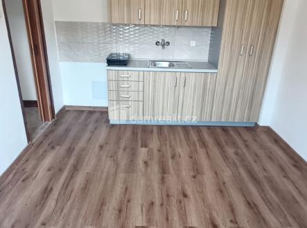 Pronájem bytu, 1+kk, 16 m²