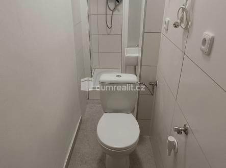 Pronájem bytu, 1+kk, 16 m²
