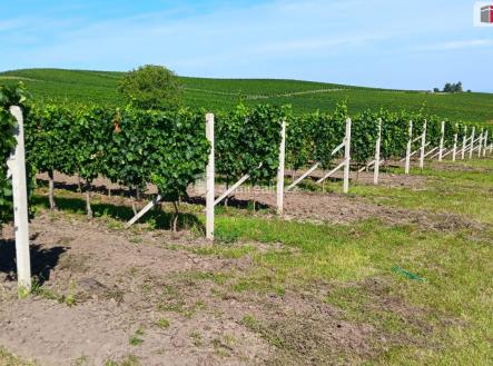 Prodej pozemku, zemědělská půda, 20 996 m²