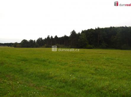 Prodej pozemku, zemědělská půda, 6 490 m²