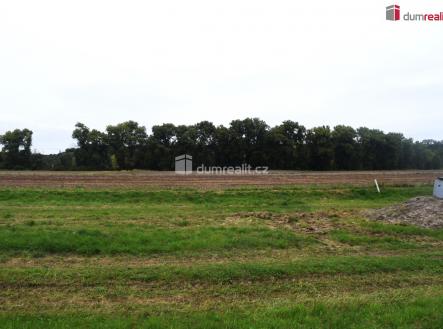 Prodej pozemku, zemědělská půda, 6 490 m²