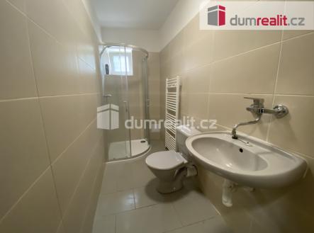 Pronájem bytu, 1+kk, 16 m²