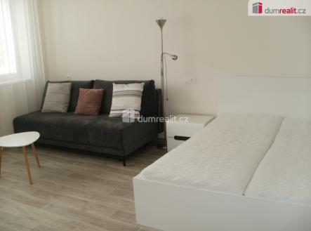 Pronájem bytu, 1+1, 39 m²