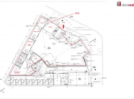 Pronájem kanceláře, 193 m²