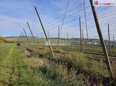 Prodej pozemku, zemědělská půda, 3 121 m²