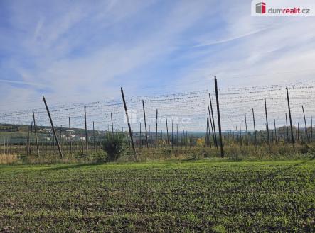 Prodej pozemku, zemědělská půda, 3 121 m²