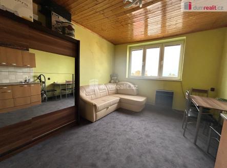 Pronájem bytu, 1+kk, 19 m²