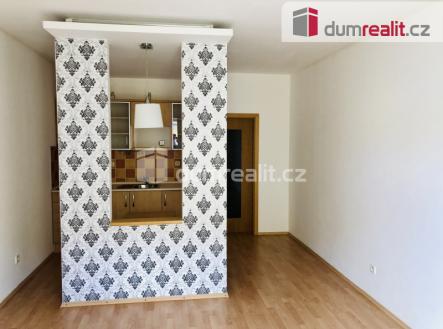 Pronájem bytu, 1+kk, 23 m²