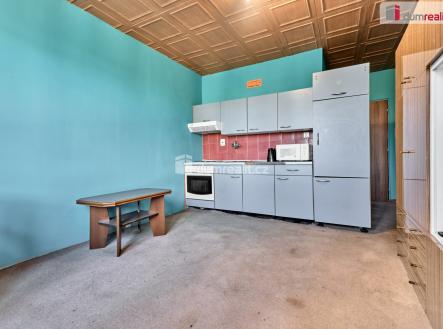 Prodej bytu, 1+kk, 19 m²