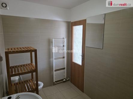 Pronájem bytu, 1+kk, 30 m²