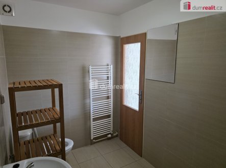 Pronájem bytu, 1+kk, 30 m²