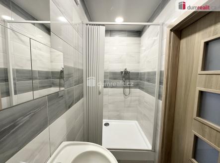 Pronájem bytu, 1+1, 53 m²