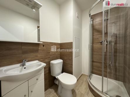 Pronájem bytu, 1+kk, 20 m²