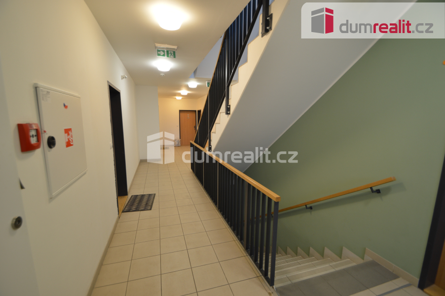 Fotku se nepodařilo načíst.