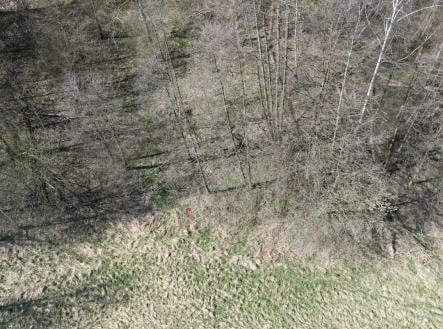 Prodej pozemku pro bydlení, 4 280 m²