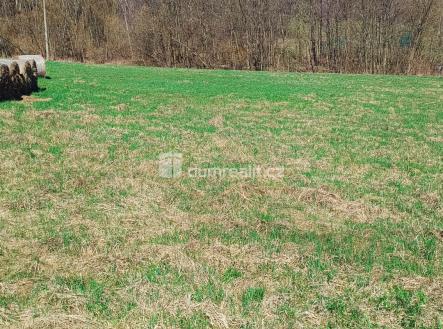 Prodej pozemku pro bydlení, 1 246 m²