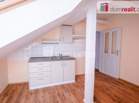 Pronájem bytu, 1+1, 53 m²