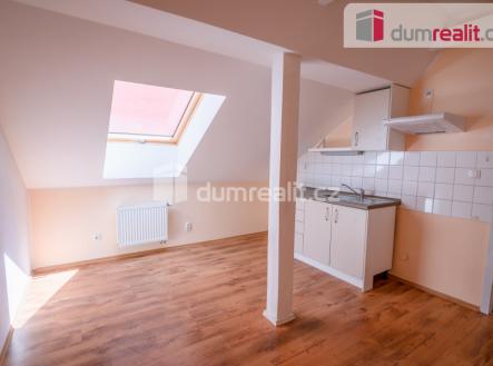 Pronájem bytu, 1+1, 53 m²