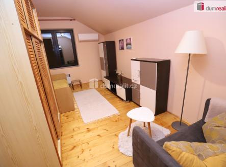 Pronájem bytu, 1+1, 45 m²