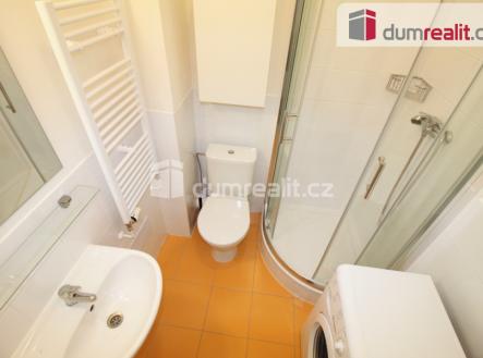 Pronájem bytu, 1+kk, 20 m²