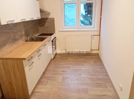 Pronájem bytu, 1+1, 42 m²