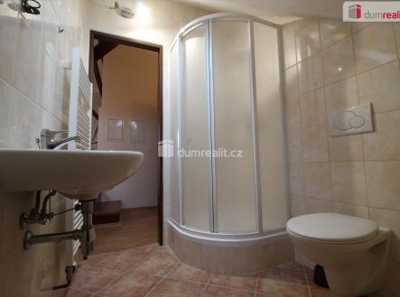 Pronájem bytu, 1+1, 45 m²