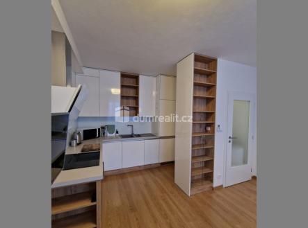 Pronájem bytu, 2+kk, 49 m²