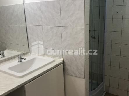 Pronájem bytu, 1+kk, 25 m²
