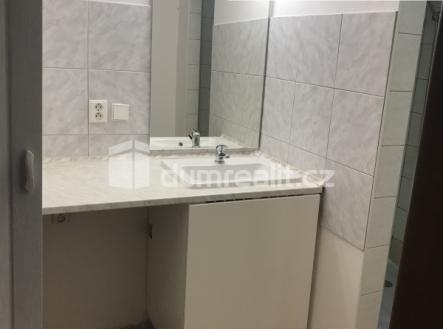 Pronájem bytu, 1+kk, 25 m²