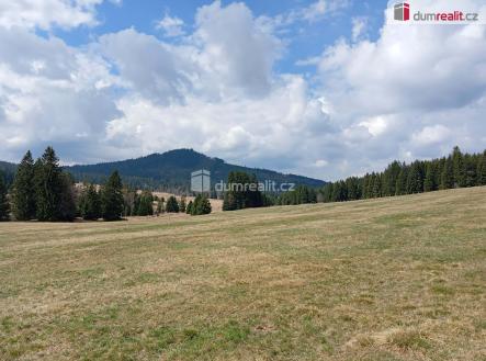 Prodej pozemku, trvalý travní porost, 1 321 m²