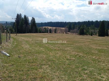 Prodej pozemku, trvalý travní porost, 1 321 m²