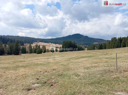 Prodej pozemku, trvalý travní porost, 1 321 m²